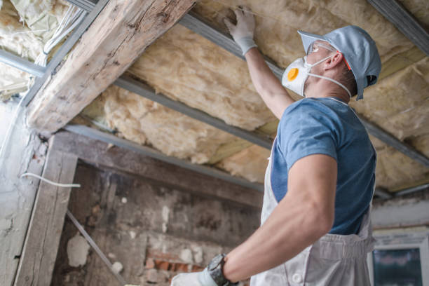 Best Local Insulation Services  in Plymouth, OH