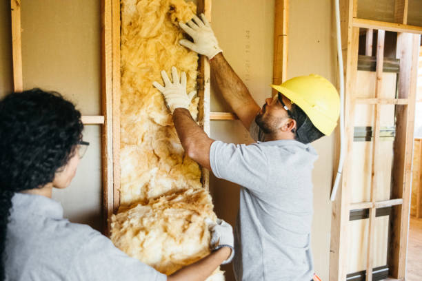 Best Professional Insulation Contractor  in Plymouth, OH